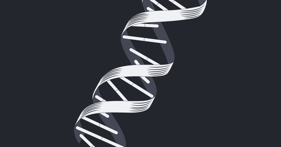 Ana Takahashi - As coerências entre design tokens e Figma Variables